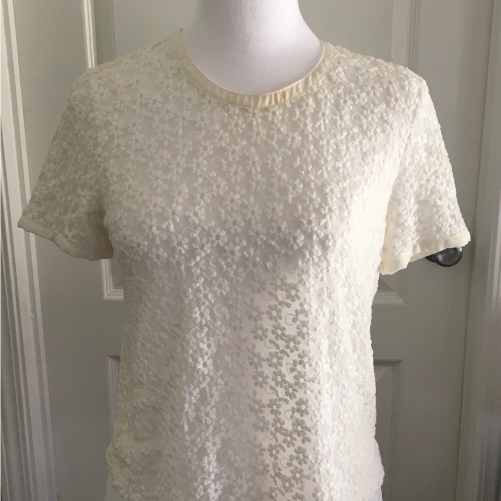 Sheer white top with daisy embroidery.